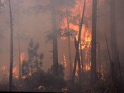 تخلیه مناطق مسکونی شمال آتن درپی گسترش آتش‌سوزی‌های جنگلی
