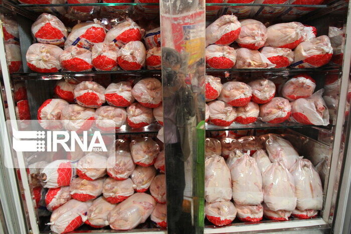 روزانه ۱۵ تن مرغ در آستارا توزیع می‌شود