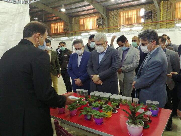معاون رئیس جمهوری از نمایشگاه  محصولات دانش‌بنیان دامغان بازدید کرد