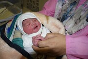 تولد ۲۶ نوزاد در خراسان جنوبی با روش انتقال جنین