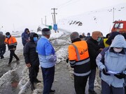 مشکل قطع برق ناشی از بارش برف در ۴۶ روستای ملایر رفع شد
