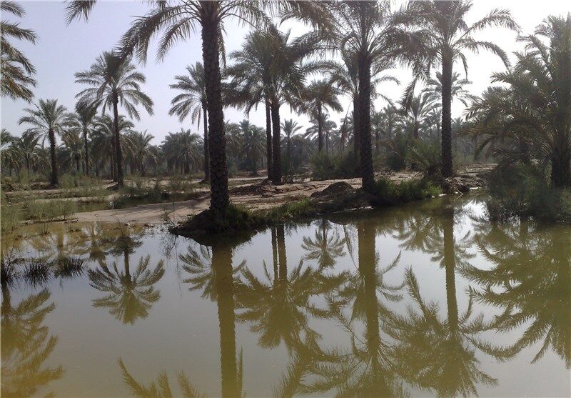 رهاسازی آب از سد مارون برای تامین حق‌آبه نخلستان‌های خوزستان آغاز شد