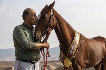 پانزدهمین جشنواره ملی زیبایی اسب ترکمن در صوفیان