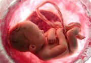 مرکز نفس از مادران منصرف شده از سقط جنین حمایت می‌کند