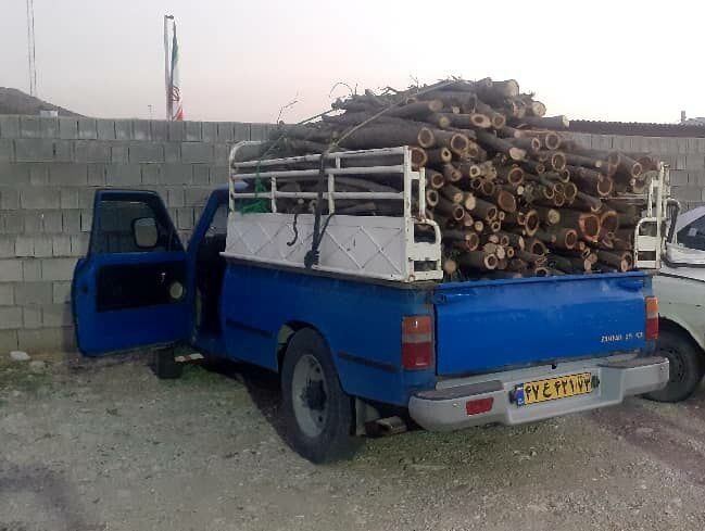 خودرو حامل چوب قاچاق در دشتستان توقیف شد