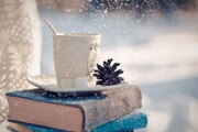 سمنانی‌ها ۱.۶ میلیارد ریال در طرح زمستانه کتاب خریدند
