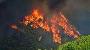 آتش سوزی در یونان به مراکز باستانی برگزاری المپیک نزدیک می‌شود