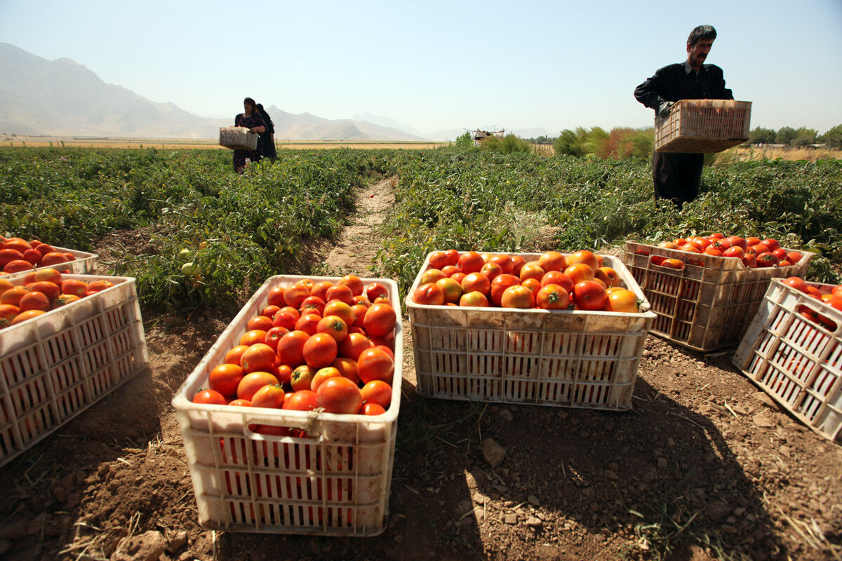 اجرای طرح‌های آب و خاک در اصفهان مستلزم همکاری بیشتر کشاورزان است
