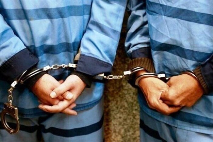 پلیس فارس: سارقان به بهانه تست کرونا دستگیر شدند