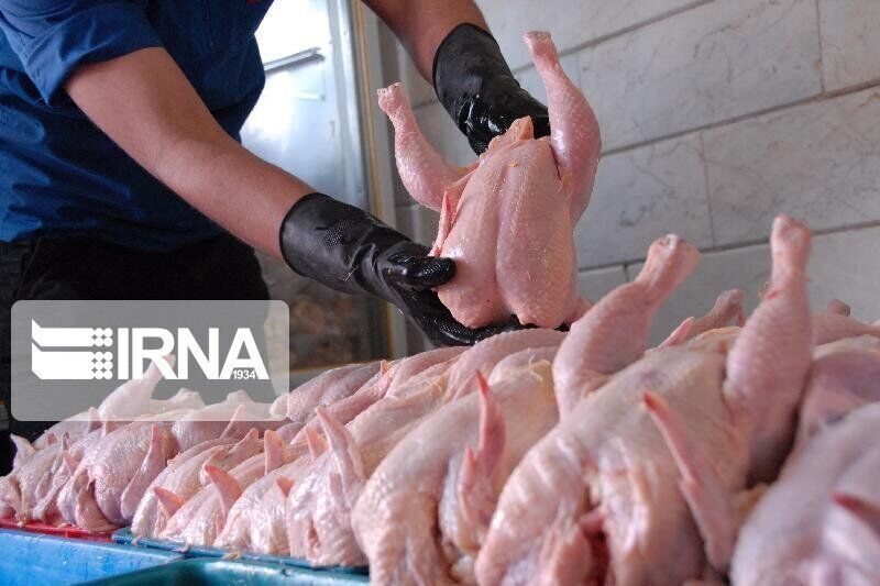 توزیع روزانه گوشت مرغ در گلستان به ۲۰۰ تن افزایش می‌یابد