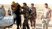 دستگیری ۱۳ عضو داعش در بغداد
