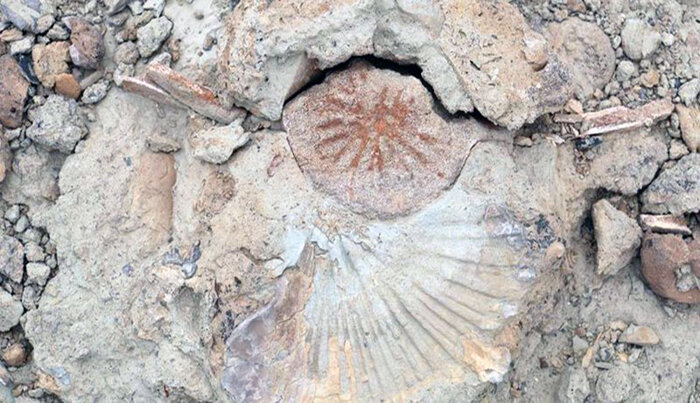فسیل‌های جانوری قدیمی در کوه‌های روستای رودیک چابهار کشف شد