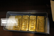 پلیس ۱۰شمش طلای قاچاق در بندرعباس کشف کرد