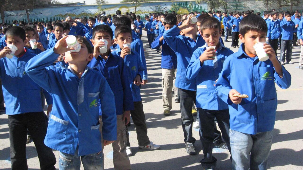 طرح توزیع شیر در مدارس ایلام ۹ بهمن آغاز می‌شود