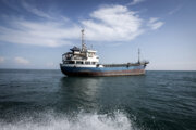 اعلام آمادگی یمن برای تأمین امنیت عبور و مرور دریایی در دریای سرخ