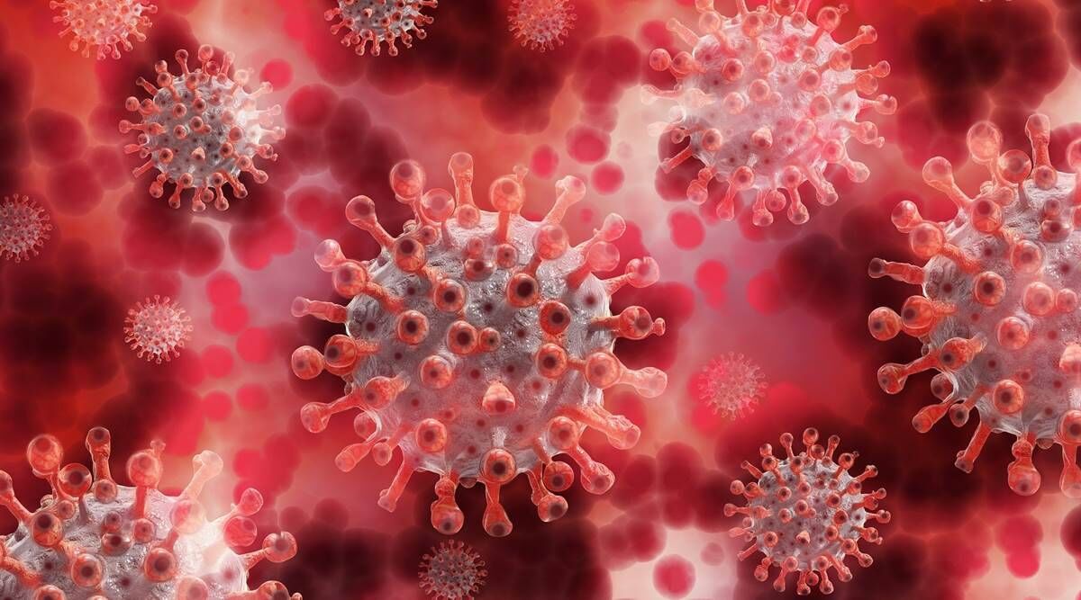 ژاپنی ها با دوربین ۸K سلول های آلوده به ویروس کرونا را مشاهده کردند