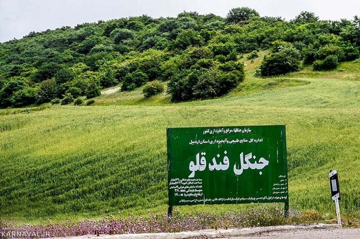 طرح جنگل‌کاری در استان اردبیل اجرا می‌شود