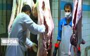 ۶۷ دامپزشک استان فارس بر کشتار دام در عید قربان نظارت می‌کنند