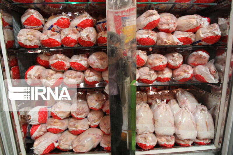 توزیع روزانه ۱۲  تن گوشت مرغ در لاهیجان