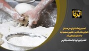 فیلم | تصمیم راهگشا برای حل مشکل نانوایی‌ها در فارس/ تعیین سهمیه آرد به استان تفویض شد