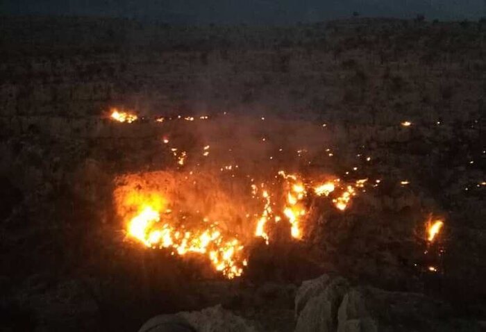 دادستان مرکز فارس: عاملان آتش‌سوزی جنگل‌ها مجازات می‌شوند
