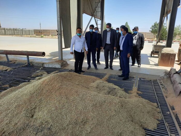۳۲۶۰ تن گندم تحویل سیلوهای پاکدشت شده است