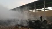 آتش سوزی در کارخانه کاغذسازی شیراز مهار شد