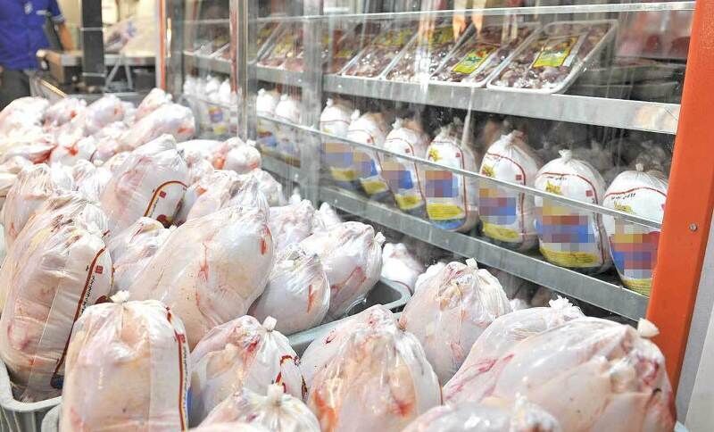 روزانه ۲۰۰ تن گوشت مرغ در استان قزوین تولید می‌شود