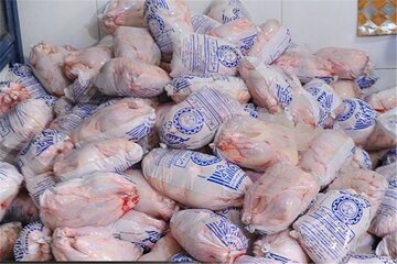 توزیع مرغ منجمد کیلویی ۱۴ هزار تومان در مازندران 