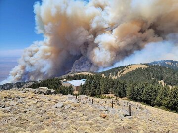 آتش سوزی نابهنگام جنگل های آمریکا پیامد تغییرات اقلیمی است