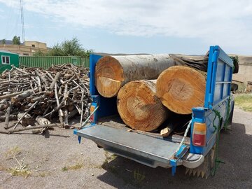 ۲.۵ تن چوب جنگلی قاچاق در خلخال کشف شد 