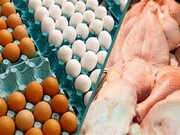 قیمت مرغ و تخم مرغ در خراسان رضوی رو به کاهش است