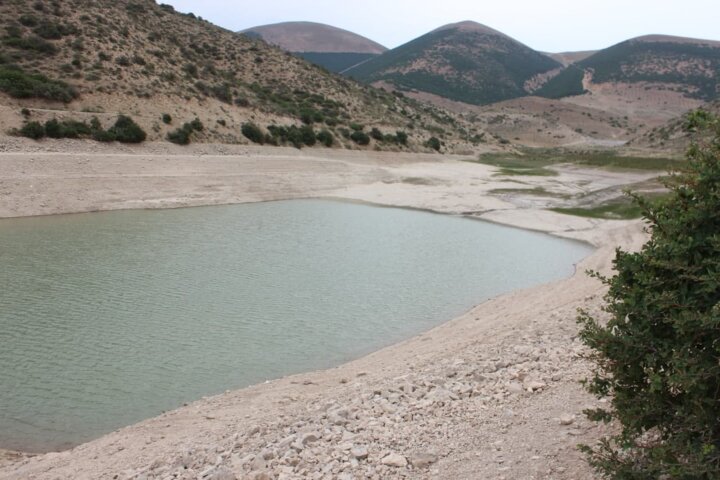 تازیانه خشکسالی بر پیکر کشاورزی استان اردبیل