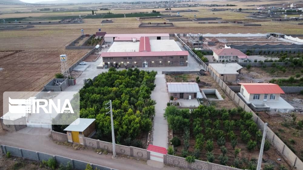 پنج واحد صنعتی کشاورزی در شیراز به بهره‌برداری رسیدند 