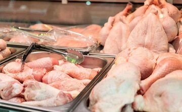 مشکل نهاده‌های طیور حل شد/ بخشی از افزایش قیمت مرغ به دلیل گران فروشی است