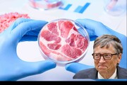  راه مقابله با تغییرات اقلیمی مصرف پروتئین گیاهی به جای گوشت گاو است
