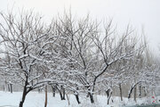 موج سنگین بارش برف از شنبه وارد آذربایجان‌غربی می شود