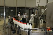 خرید شیرخام از تولیدکنندگان فارس با نرخ تضیمنی الزامی است