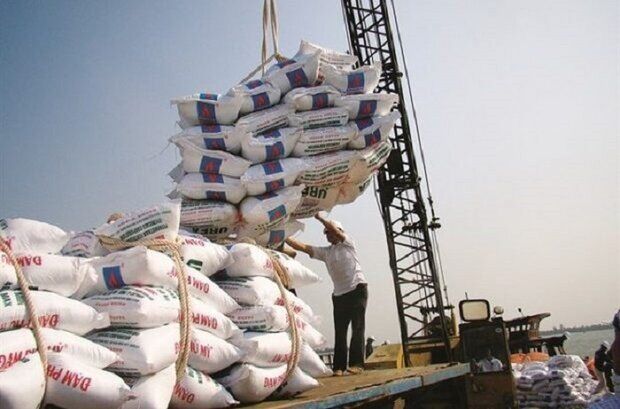 صدور دستور قضایی برای ترخیص ۳۸۲ هزار تُن برنج و روغن وارداتی از بندرعباس
