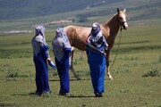 افتتاح آموزشگاه پرورش اسب در بندرترکمن و مروری بر اخبار گلستان