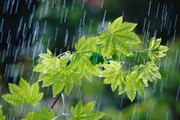 بیشترین بارش تابستانی فارس در استهبان ثبت شد 