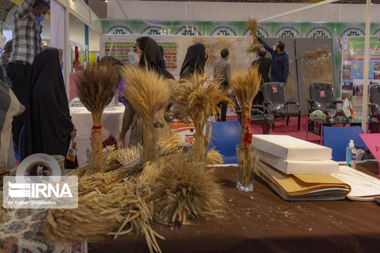 غرفه خوزستان در نمایشگاه اکسپو ۲ زنجیره ارزش را معرفی می‌کند