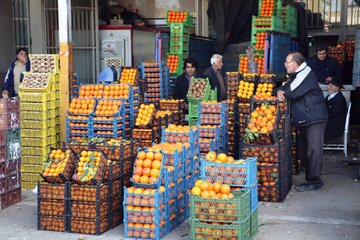 ۶۰ تن میوه شب عید در پلدشت توزیع می‌شود