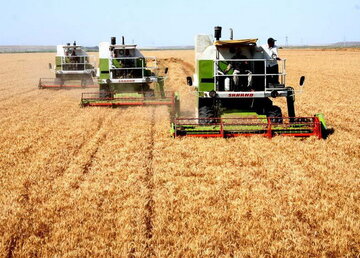 افزایش پنج برابری تولیدات زراعی کرمانشاه بعد از انقلاب