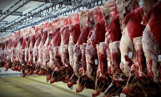 ۳۸ درصد گوشت قرمز مورد نیاز البرز در داخل استان تولید می شود