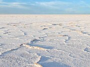 ۲۷ ماده ارزشمند معدنی در دریاچه نمک قم وجود دارد