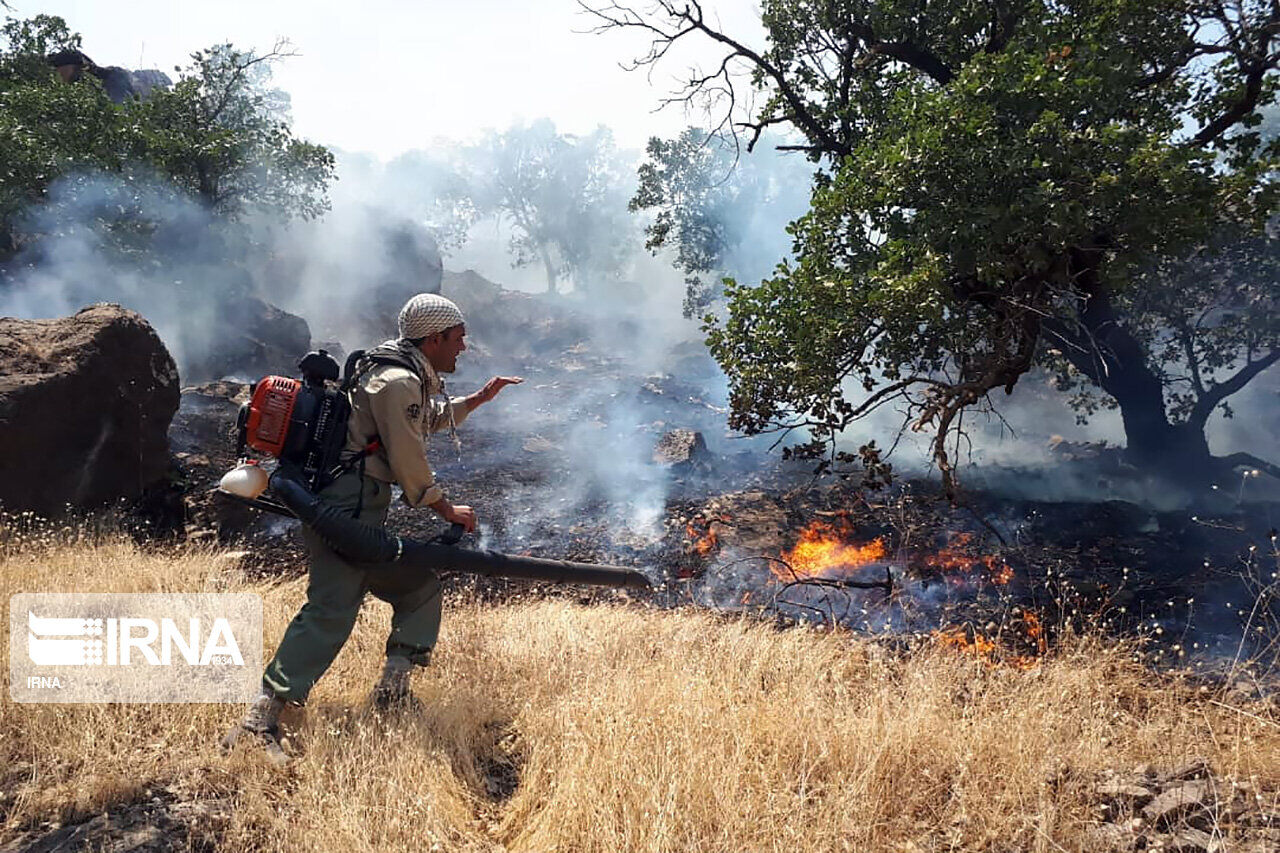 آتش‌سوزی جنگل‌های گچساران پس از سه روز مهار شد