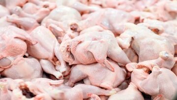 قیمت گوشت مرغ در خراسان رضوی کاهش یافت