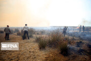 حریق در جزیره آشوراده و رخدادهای خبری هفته گذشته گلستان