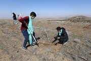  یگان ویژه و منابع طبیعی در راه سرسبزی سیستان و بلوچستان /تفاهم‌نامه کاشت یک میلیارد درخت